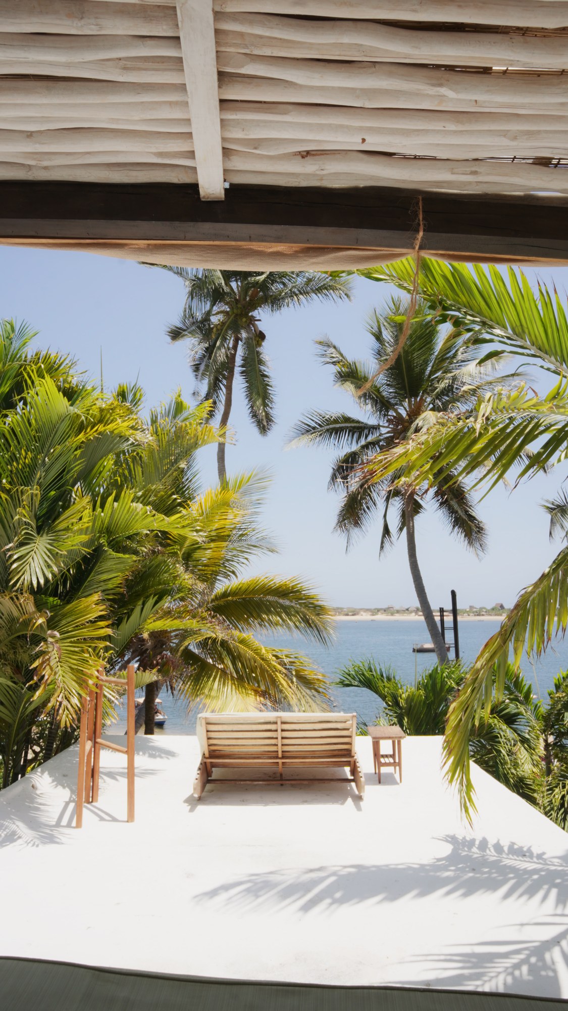 Palms from a shaded veranda
